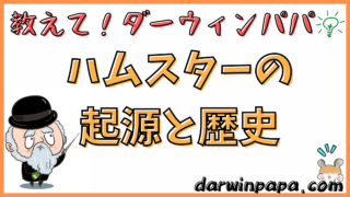 ハムスターの起源と歴史