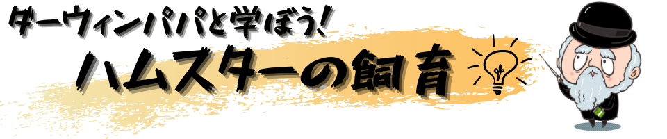 ダーウィンパパと学ぼう！ハムスターの飼育